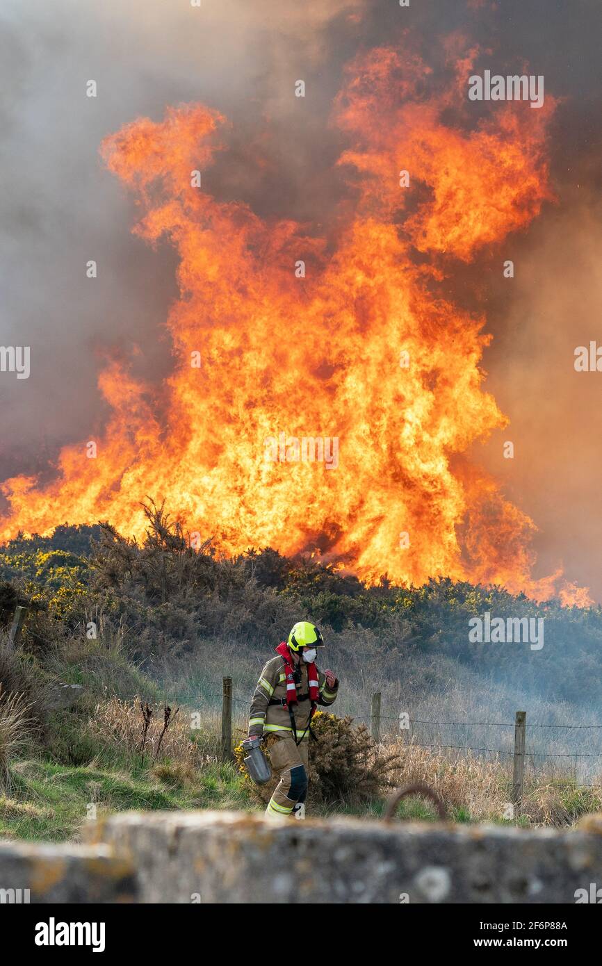 30 marzo 2021. Wildfire colpisce la zona boschiva vicino a Kingston a Moray, Scozia, Regno Unito. Il Servizio Scottish Fire and Rescue - SFRS - era sulla scena. Foto Stock