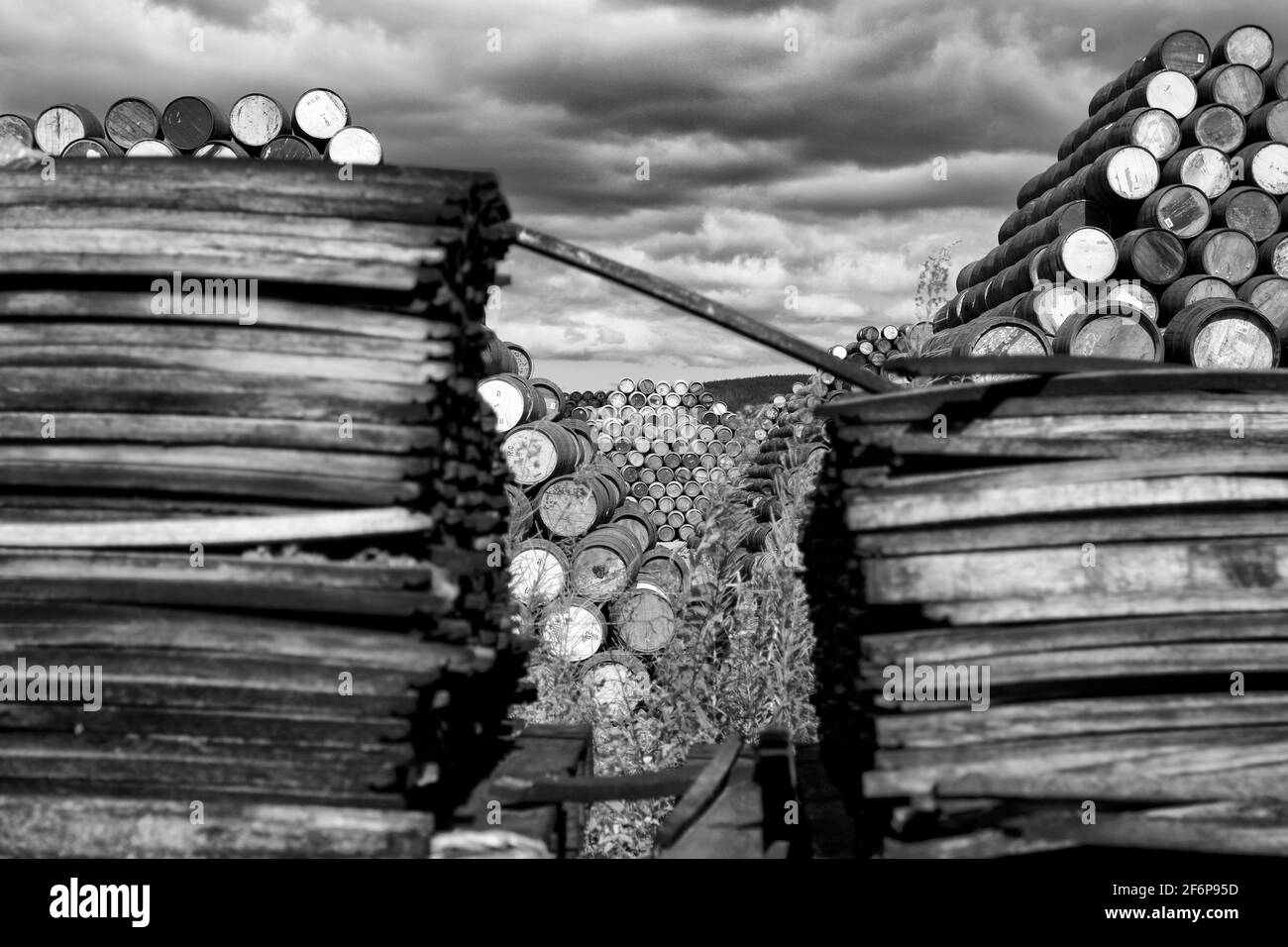 Barili di whisky, cooperage di Speyside, Craigellachie Foto Stock