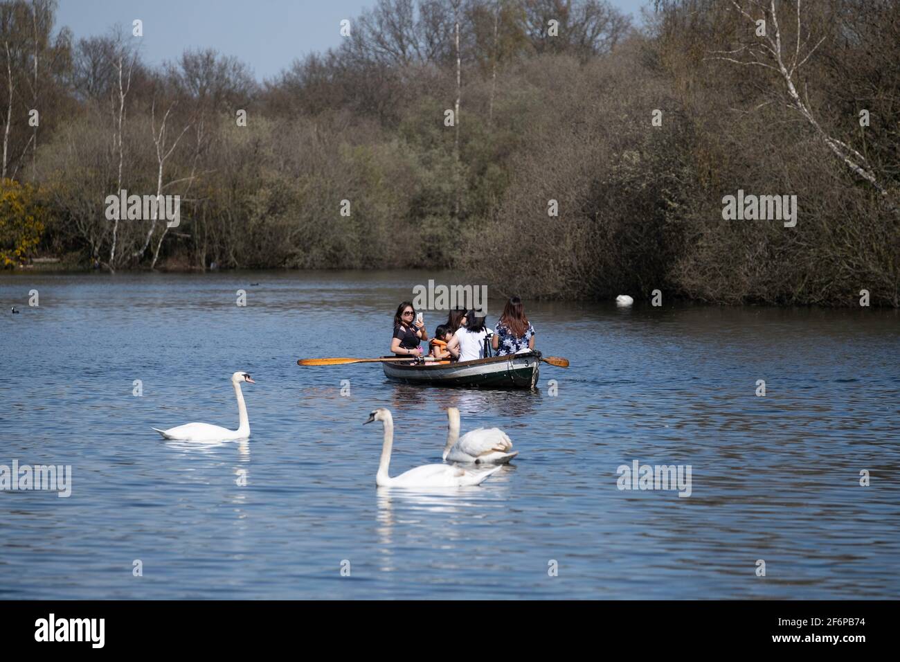 Hollow Pond, Londra, Regno Unito Foto Stock