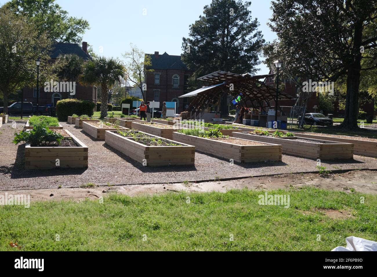 Monache con bibbia e croce aperta con Gesù e polvere all'interno delle catacombe di Roma, giardini urbani, fiori e alberi di menta piperita. Foto Stock