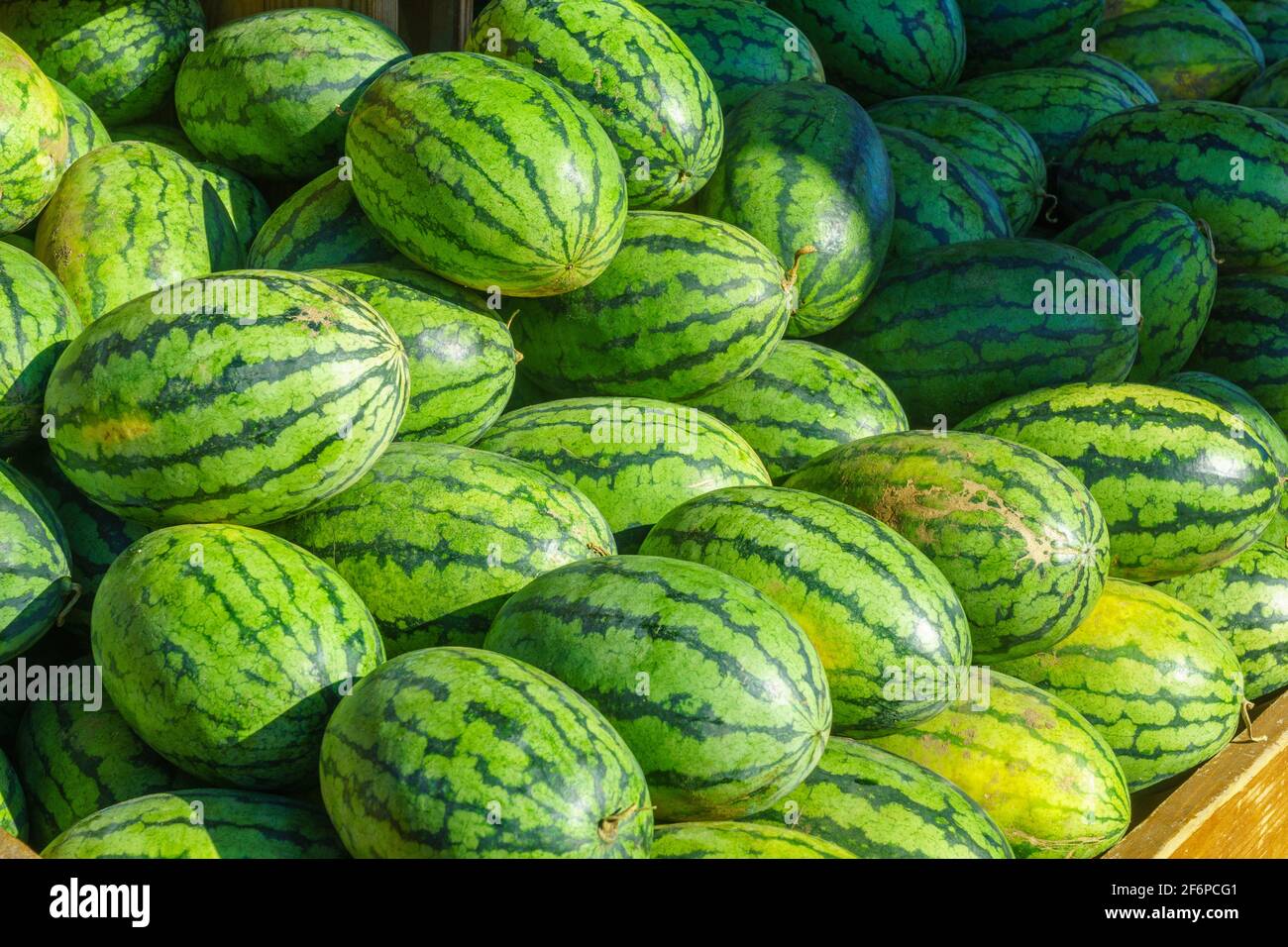 Cocomeri in vendita nel mercato di Jean-Talon, distretto di Little Italy, Montreal, Quebec, Canada Foto Stock
