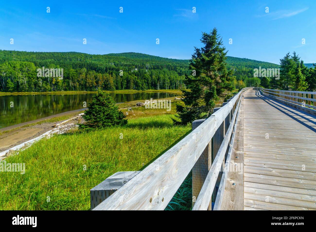 Sentiero elevata nel settore Penouille di Forillon National Park, Gaspe Peninsula, Quebec, Canada Foto Stock