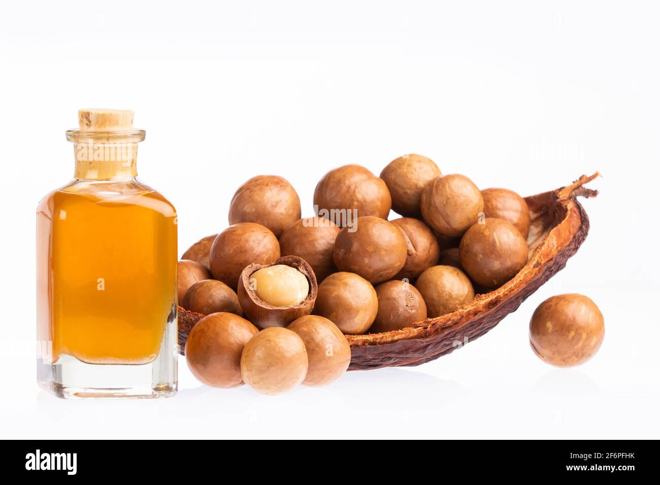 Noci e olio di macadamia - Macadamia integrifolia. Foto Stock