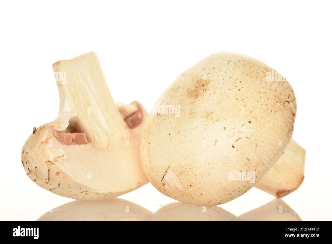 Un intero e mezzo champignon di funghi appetitosi freschi biologici, primo piano, su sfondo bianco. Foto Stock