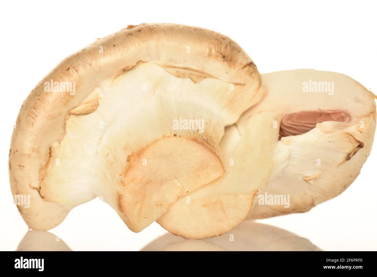 due metà di funghi champignon, freschi e biologici, da vicino, su sfondo bianco. Foto Stock