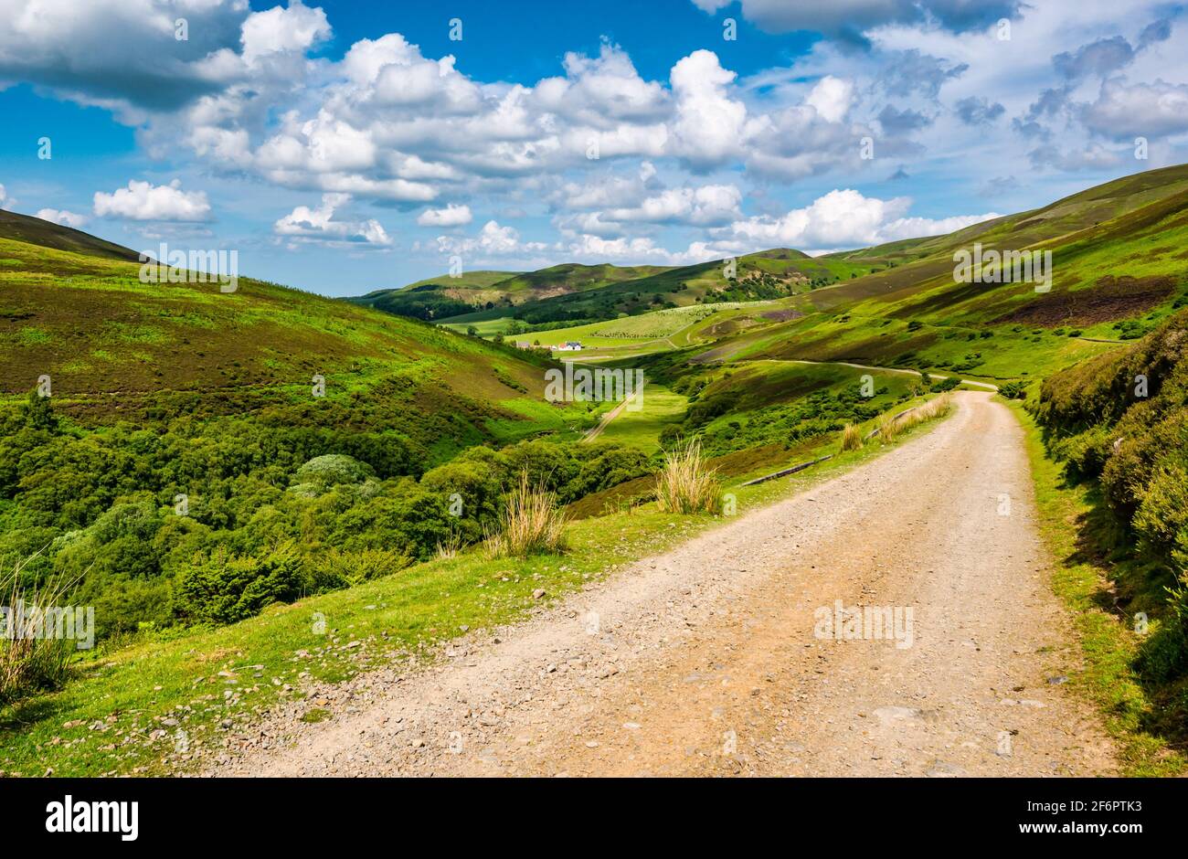 Pista sterrata che scende lungo la valle, Lammermuir Hills, East Lothian, Scozia, Regno Unito Foto Stock