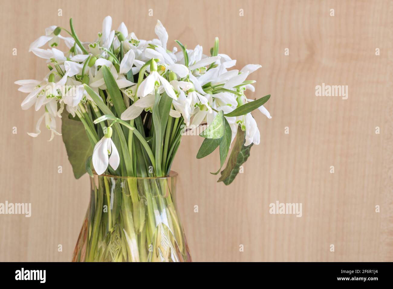 Bel bouquet di fiori di neve in un piccolo vaso. Foto Stock