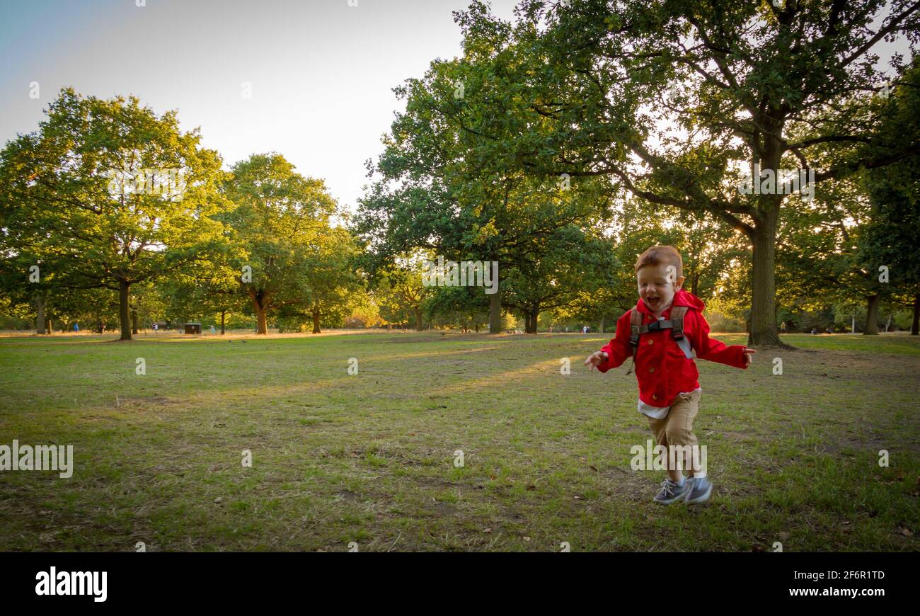 Un bambino carino, rosso, che indossa una giacca rossa che corre su un prato in un parco in una serata soleggiata Foto Stock