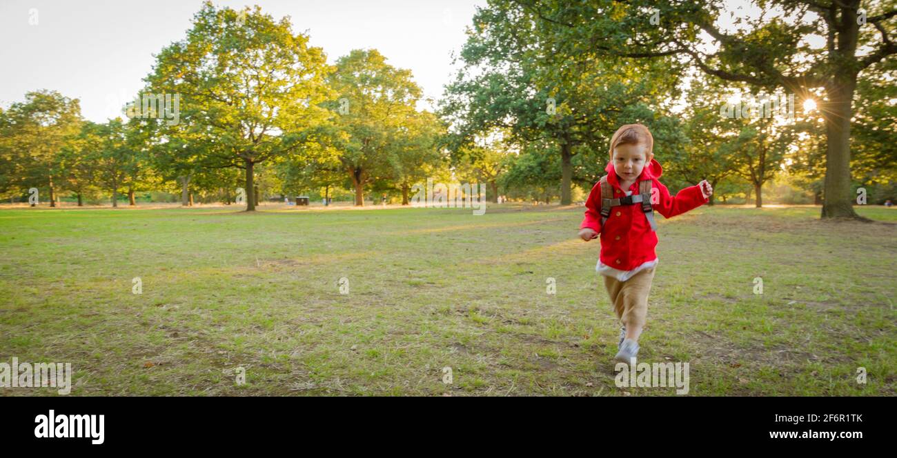 Un bambino carino, rosso, che indossa una giacca rossa che corre su un prato in un parco in una serata soleggiata Foto Stock