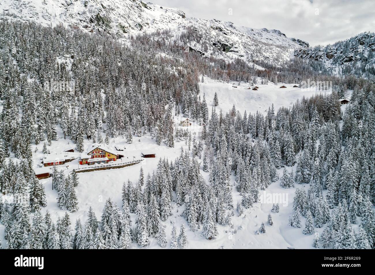 Capanne e boschi di abeti ricoperti di neve fresca Foto Stock