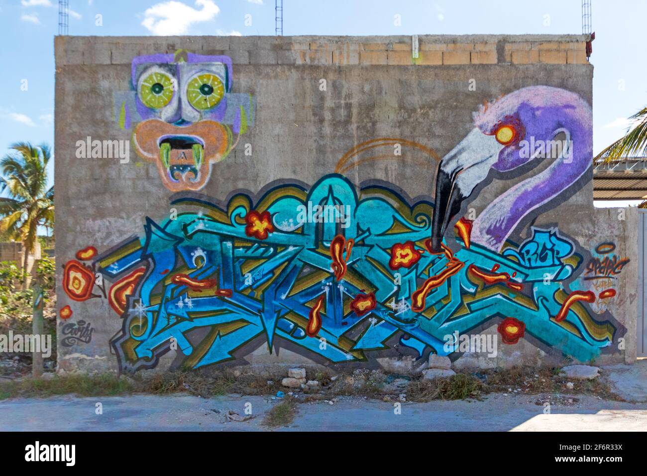 Street Art in Messico - una parete decorata con graffiti, con parole stilizzate e un fenicottero viola Foto Stock