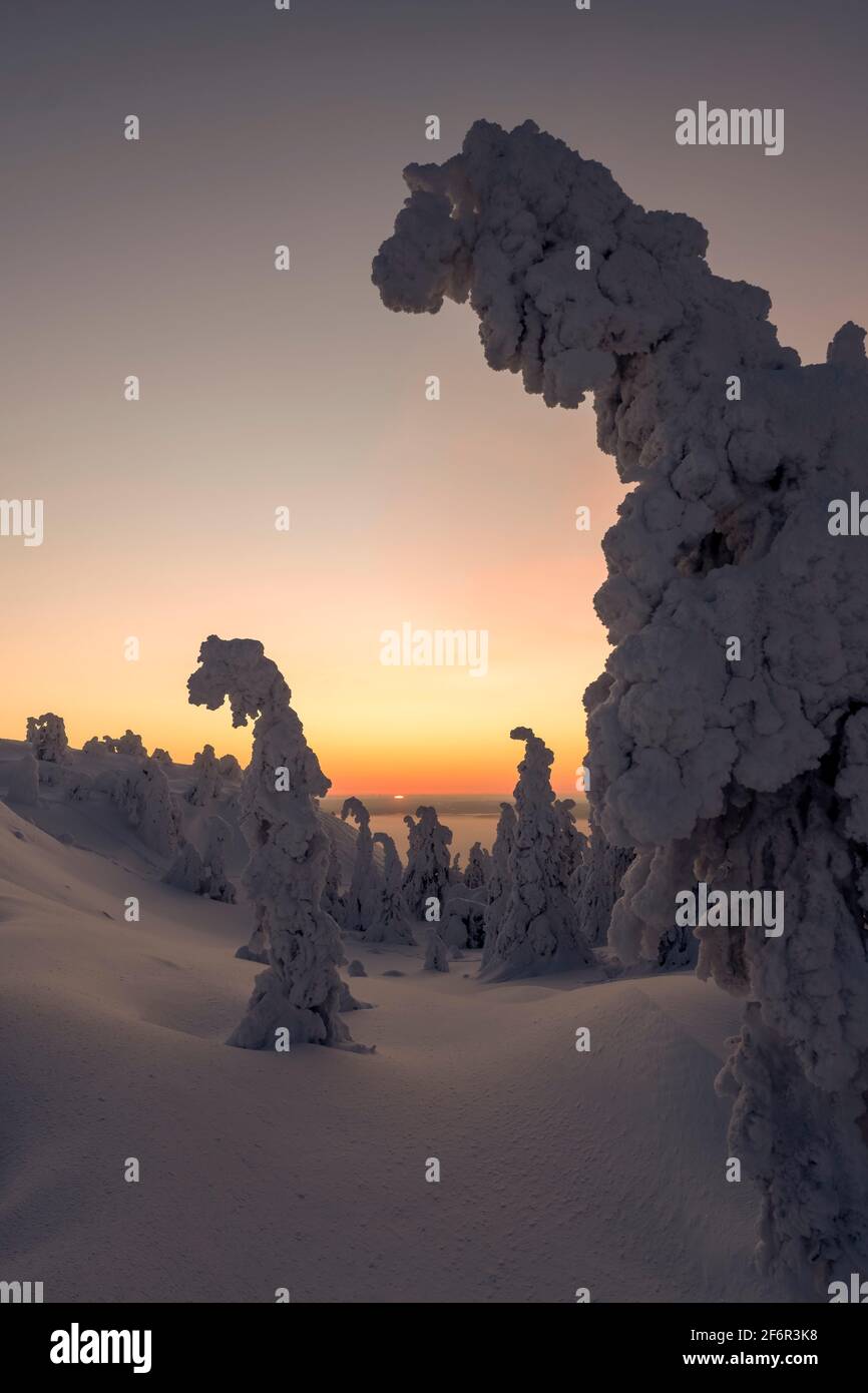 Tramonto visto dalla cima di Rukatunturi, un caduto e uno skicenter in Lapponia finlandese, a metà inverno tramonto Foto Stock