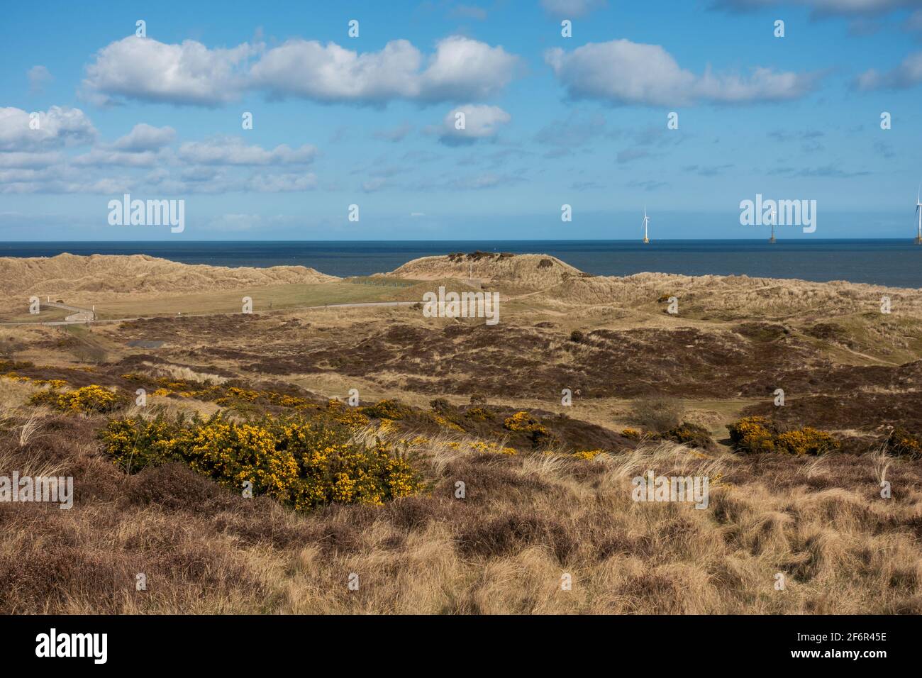 Dune di sabbia e la spiaggia che si affaccia sul Mare del Nord nella frazione di Blackdog, Aberdeenshire, Scozia Foto Stock