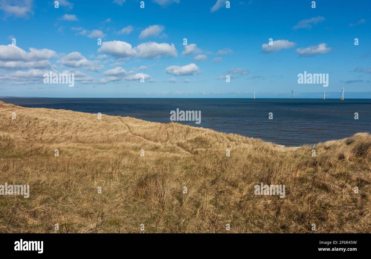 Dune di sabbia e la spiaggia che si affaccia sul Mare del Nord nella frazione di Blackdog, Aberdeenshire, Scozia Foto Stock