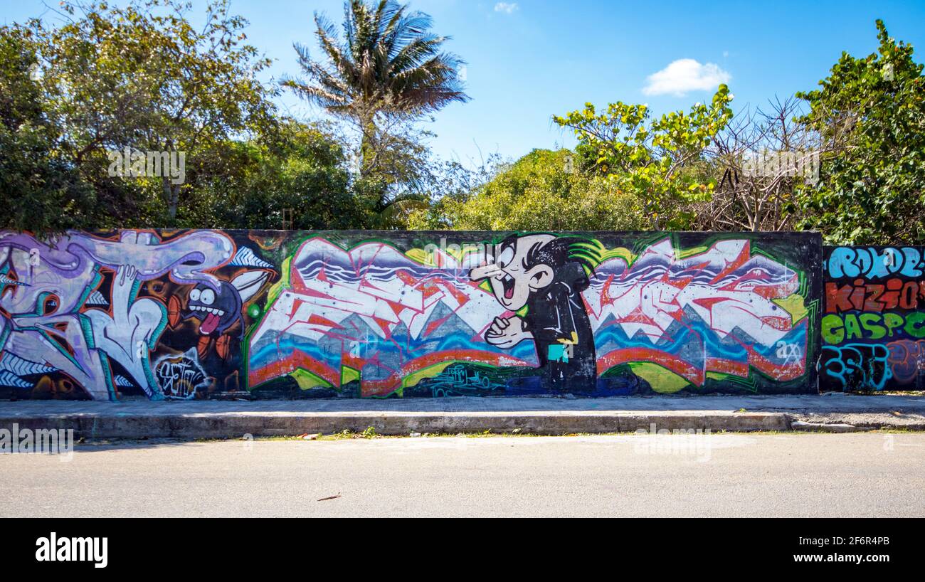 Arte di strada colorata in una piccola città sulle pareti del giardino lungo il marciapiede, con alberi tropicali verdi sullo sfondo lungo le pareti. Foto Stock