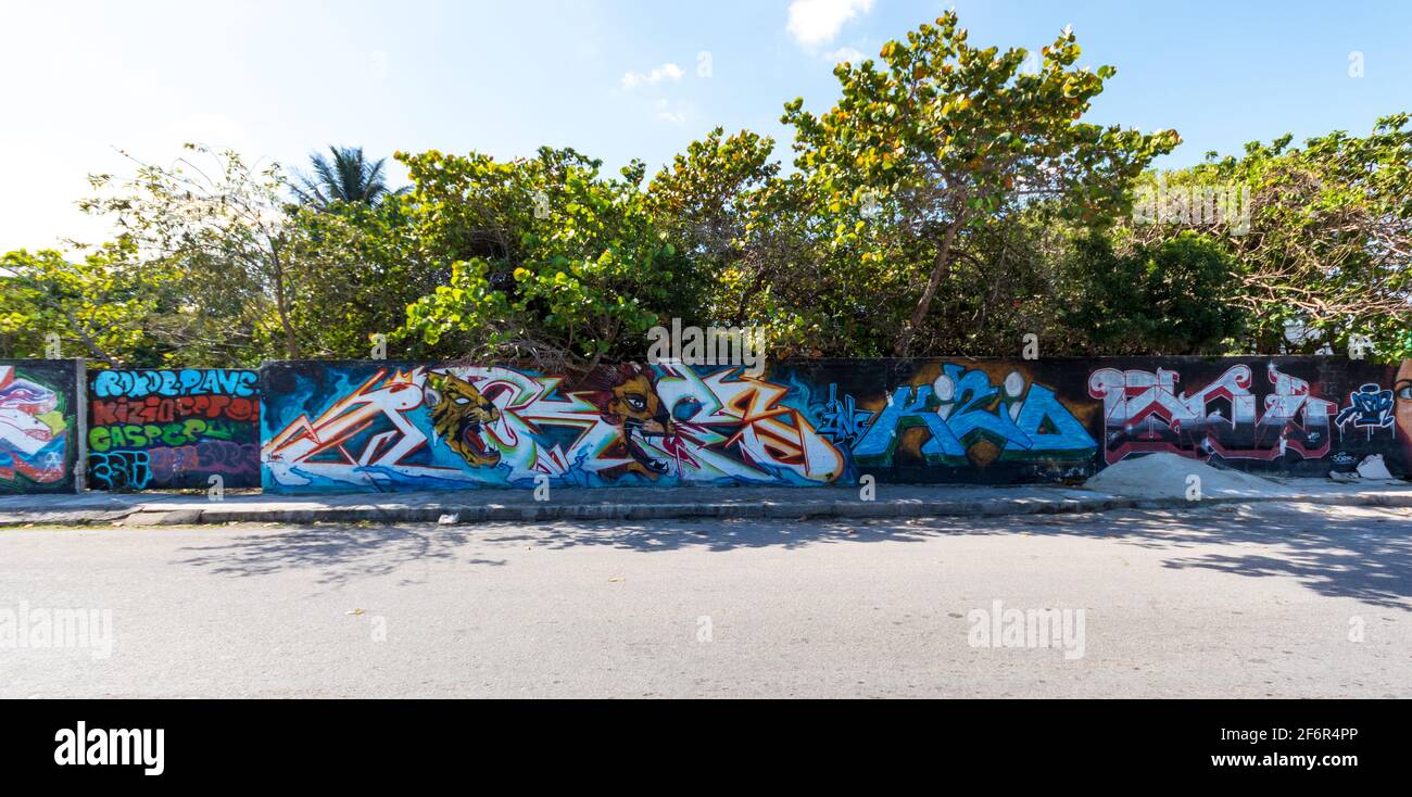Arte di strada colorata in una piccola città sulle pareti del giardino lungo il marciapiede, con alberi tropicali verdi sullo sfondo lungo le pareti. Foto Stock