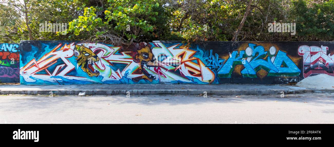Arte di strada colorata in una piccola città sulle pareti del giardino lungo il marciapiede, con alberi tropicali verdi sullo sfondo lungo le pareti. Foto Stock