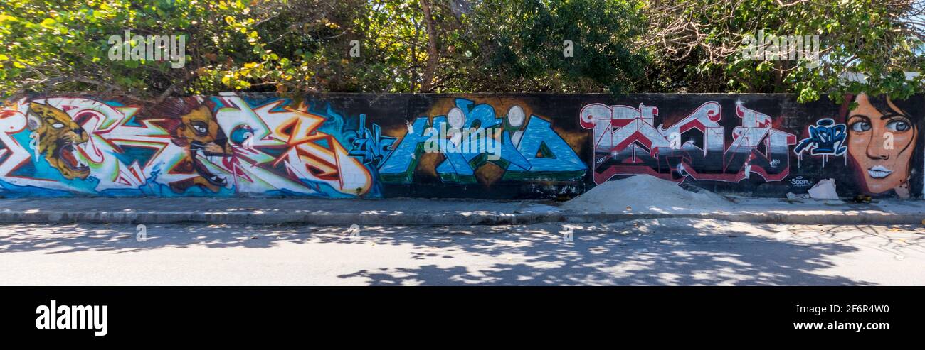 Arte di strada colorata in una piccola città sulle pareti del giardino lungo il marciapiede, con alberi tropicali verdi sullo sfondo lungo le pareti. Foto Stock