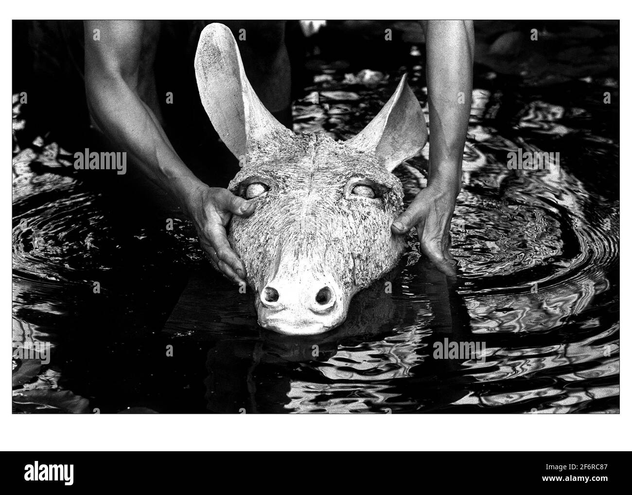 Preparazione finale il 2000 giugno nel Dream Garden di Midsummer Nights a. Lo spettacolo dei fiori di Hampton Court Palace Foto Stock