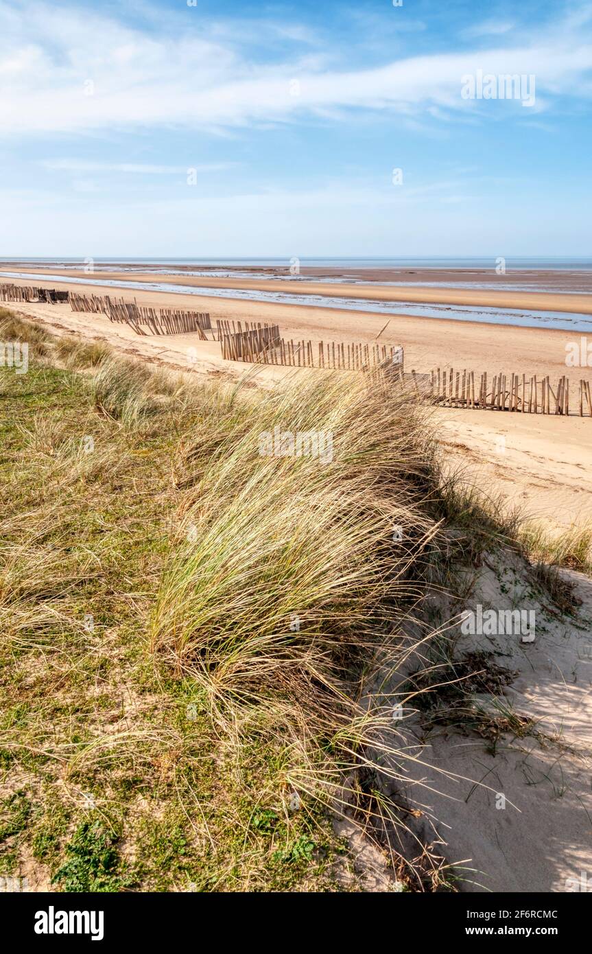 Una spiaggia vuota di Holme-next-the-Sea, Norfolk del Nord. Costa del Mare del Nord sostenuta da dune ricoperte di erba di marram, Ammophila arenaria. Foto Stock