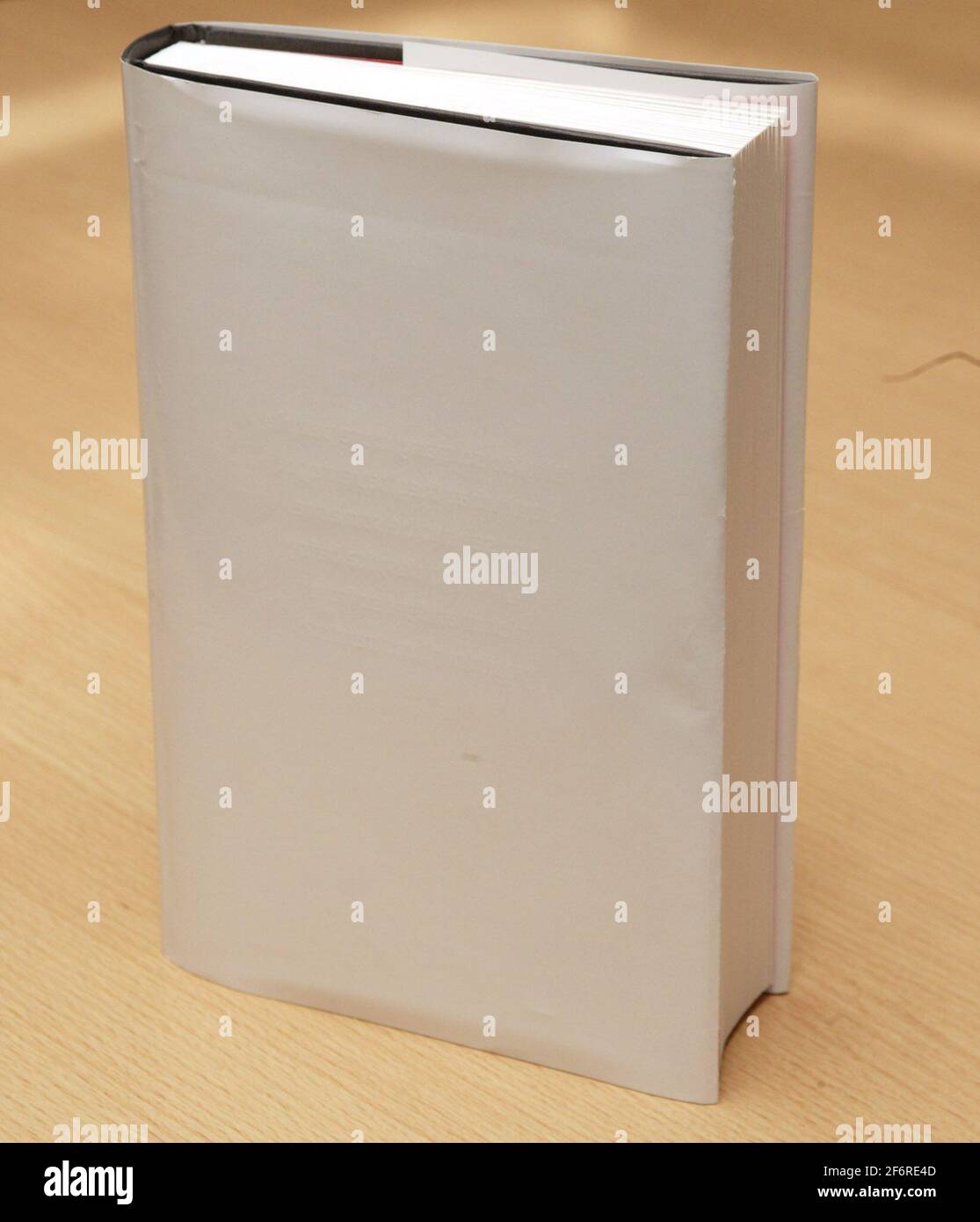 Foto di copertina del libro vuoto David Sandison Foto Stock