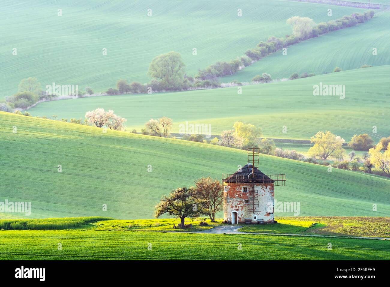 Splendido paesaggio rurale con antico mulino a vento e verdi colline di primavera. Regione Della Moravia Meridionale, Repubblica Ceca Foto Stock