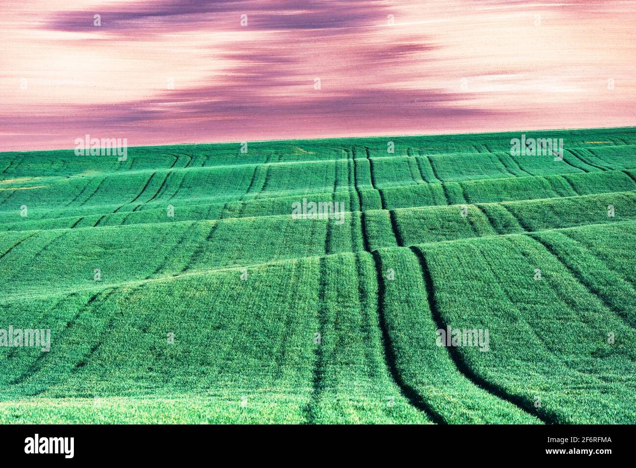 Paesaggio rurale astratto con campi agricoli sulle colline di primavera. Regione Della Moravia Meridionale, Repubblica Ceca Foto Stock