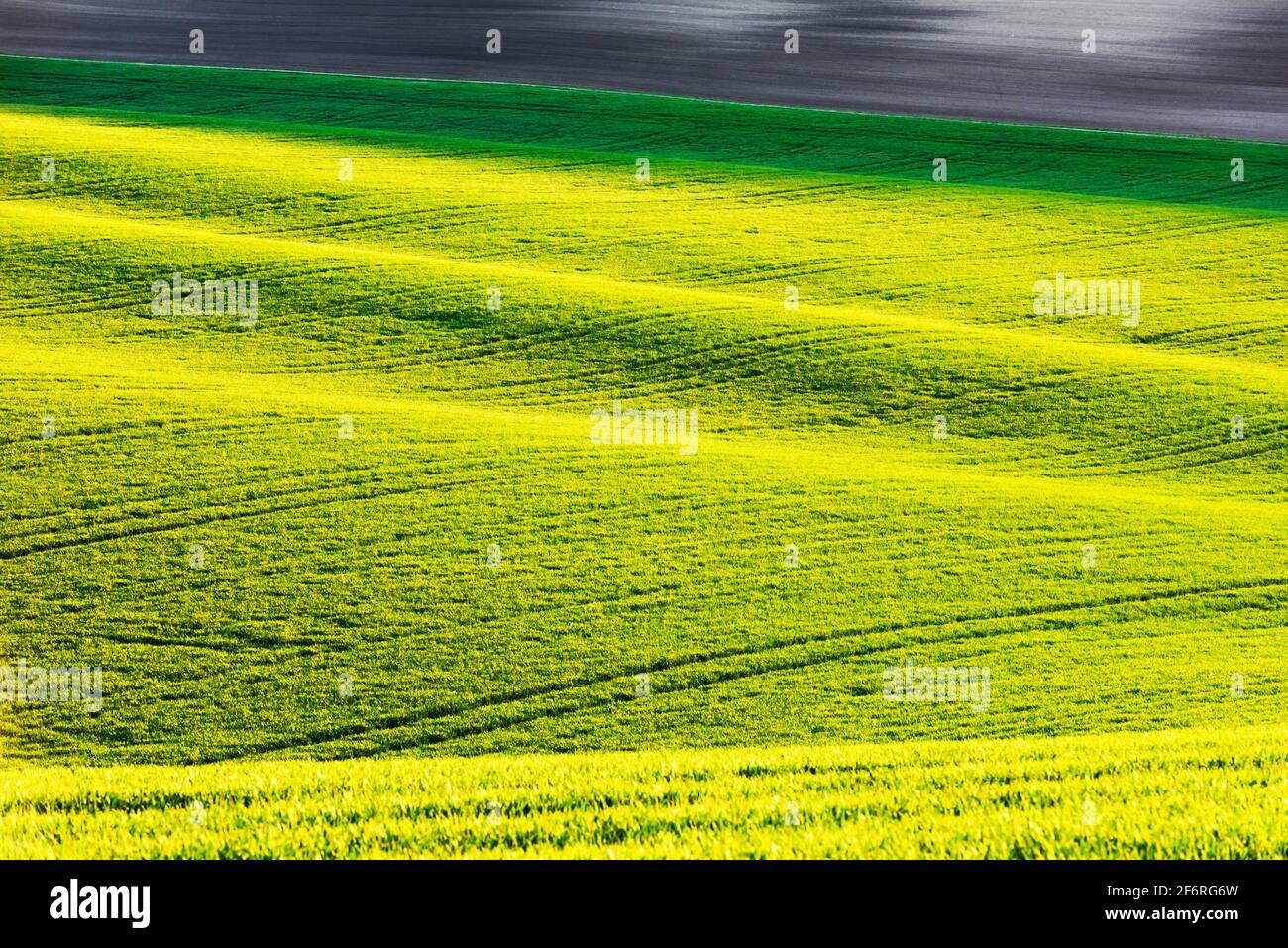 Paesaggio rurale astratto con campi agricoli sulle colline di primavera. Regione Della Moravia Meridionale, Repubblica Ceca Foto Stock