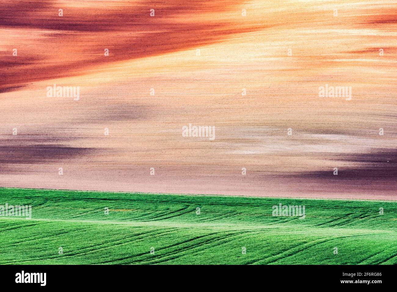 Paesaggio rurale astratto con campi agricoli sulle colline di primavera. Regione Della Moravia Meridionale, Repubblica Ceca Foto Stock