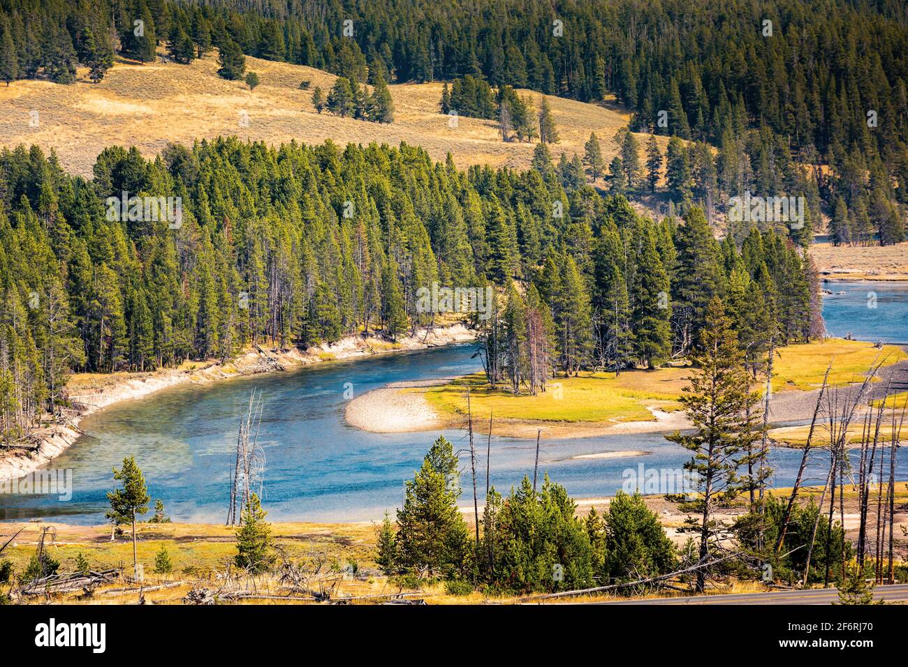 Fiume Yellowstone nel parco nazionale di Yellowstone. Foto Stock