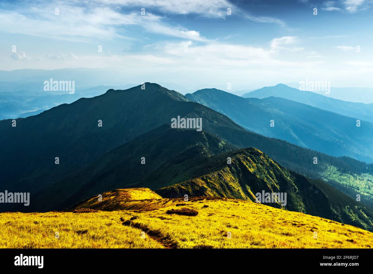 Lussureggiante prato verde erba coperto montagne in estate. Luce soffusa all'alba che si illumina in primo piano. Fotografia di paesaggio. Sfondo natura Foto Stock