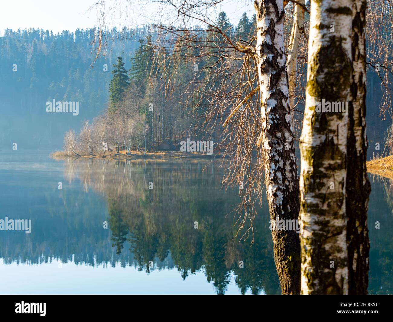 Lago di Lokve in Croazia Europa Foto Stock