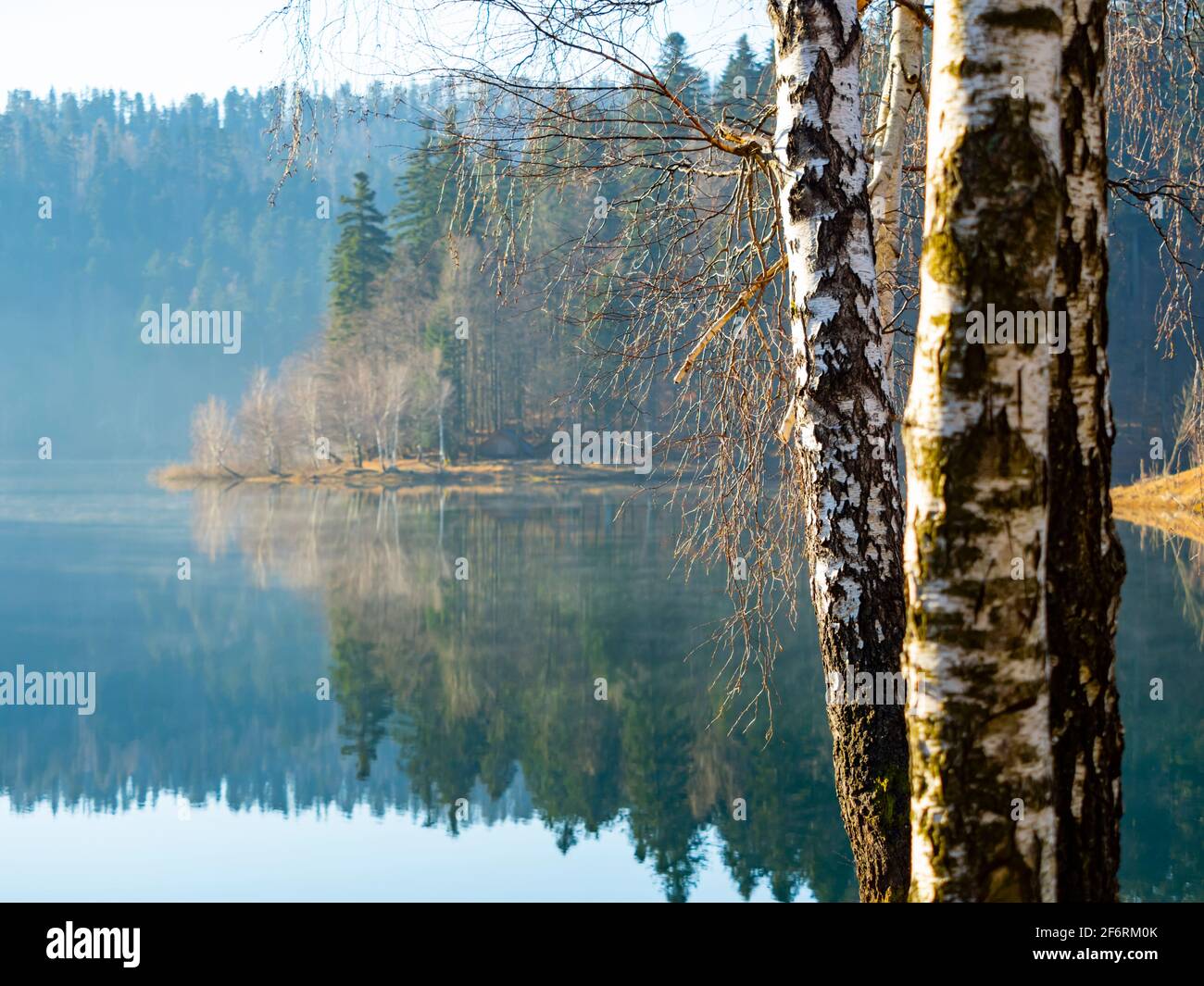 Lago di Lokve in Croazia Europa Foto Stock