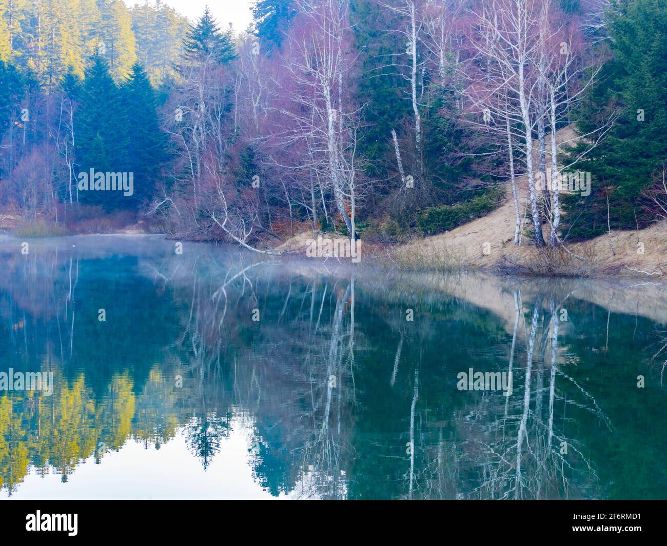 Pittoresco tranquillo lago di Lokve in Croazia Europa Foto Stock