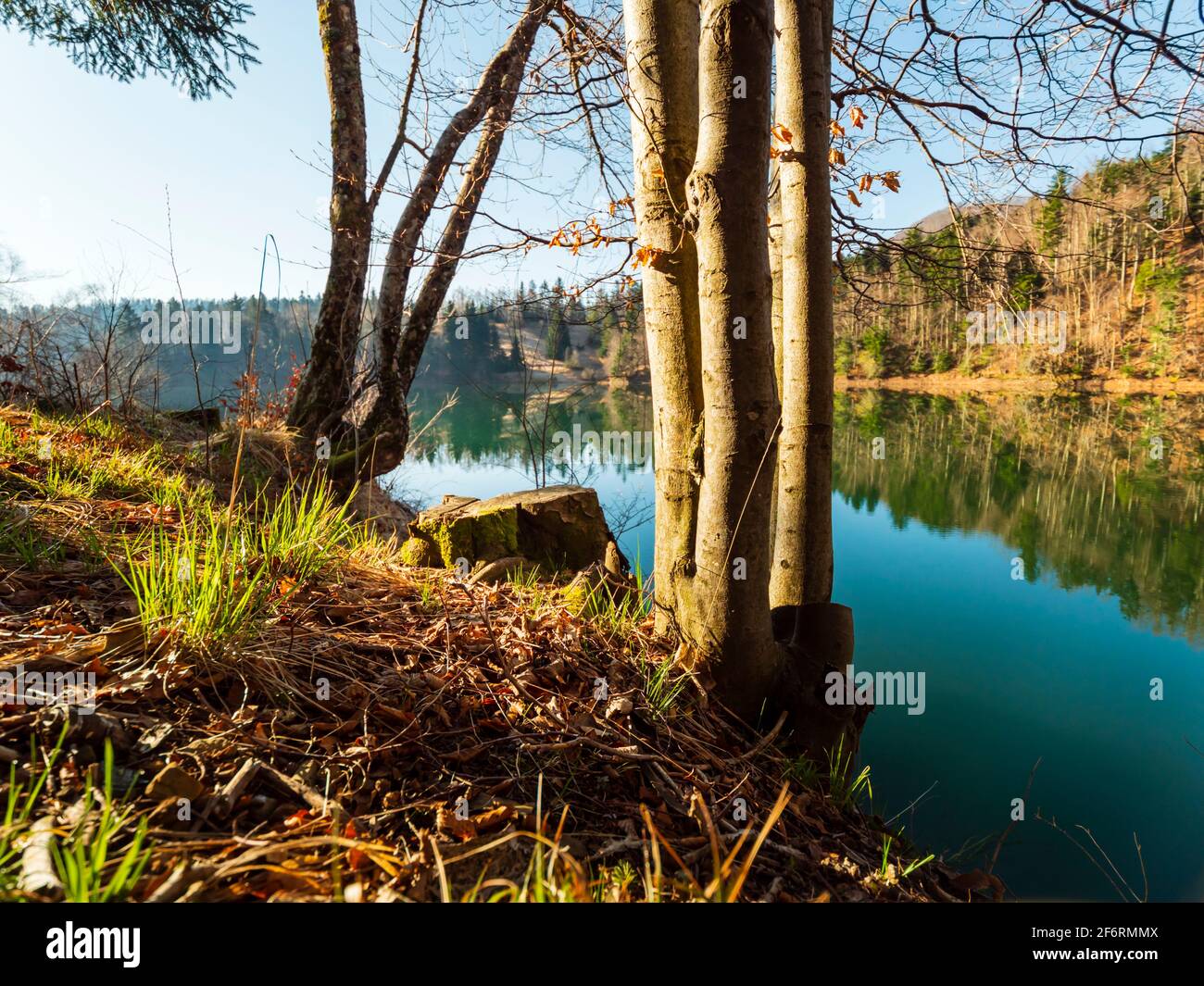 Pump pittoresca tranquillità tranquilla Lago di Lokve in Croazia Europa Foto Stock