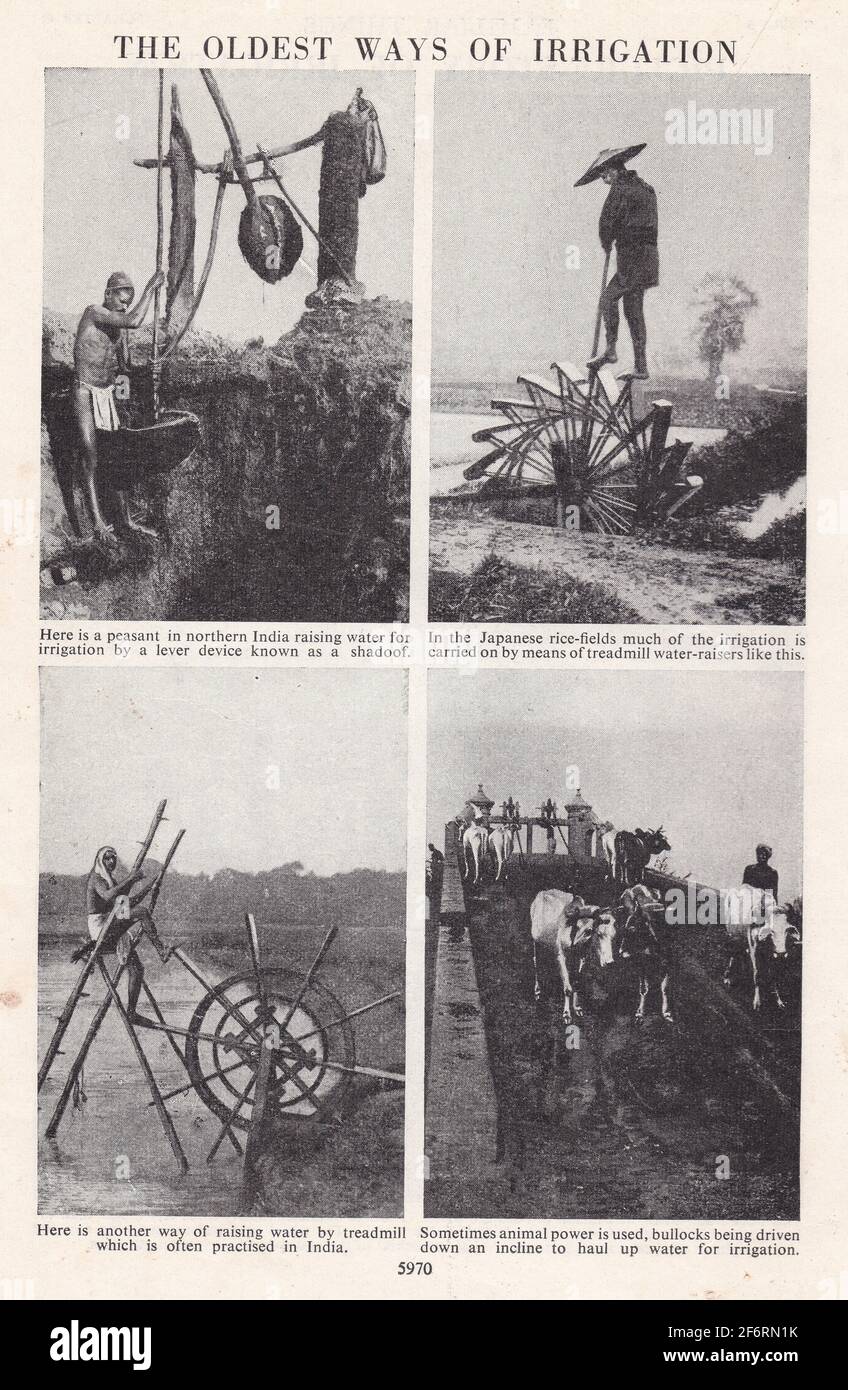 Foto vintage in bianco e nero dei più antichi modi di irrigazione. Foto Stock