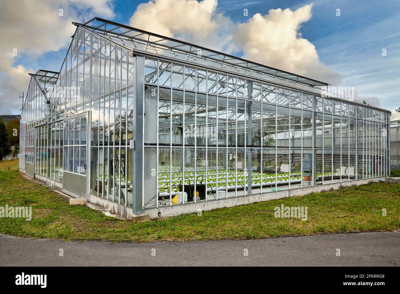 Greenhouse, Istituto per la ricerca e lo sviluppo agricolo e l'ambiente naturale, Paesi Baschi, Spagna, Europa. Foto Stock