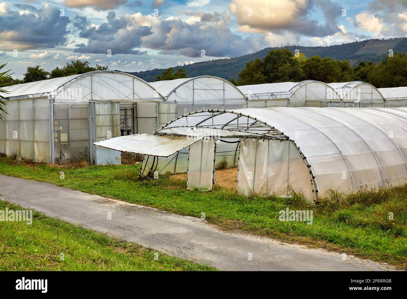 Greenhouse, Istituto per la ricerca e lo sviluppo agricolo e l'ambiente naturale, Paesi Baschi, Spagna, Europa. Foto Stock