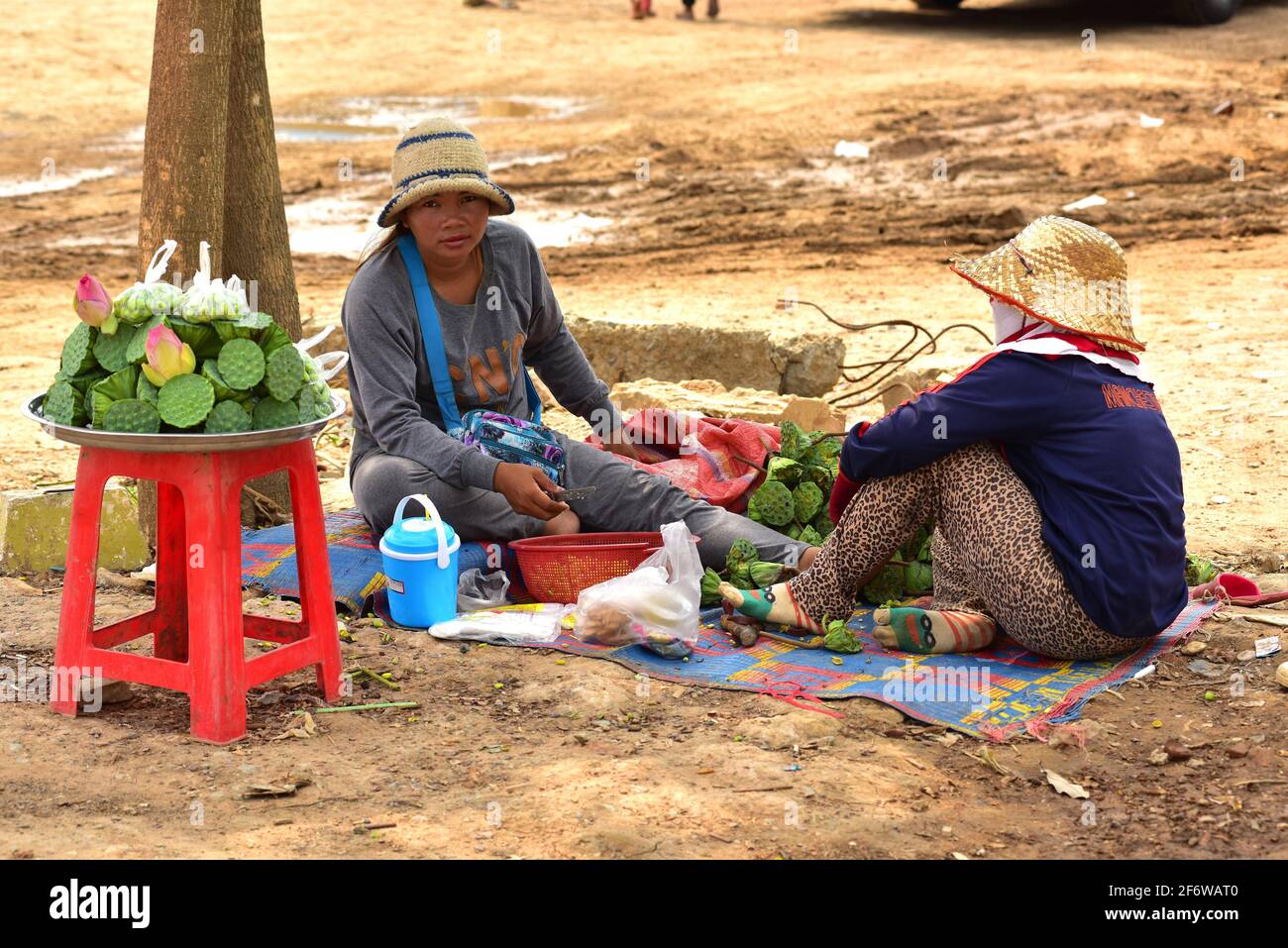 Vendita di prodotti lotus Street stall. Siem Reap, Cambogia. Foto Stock