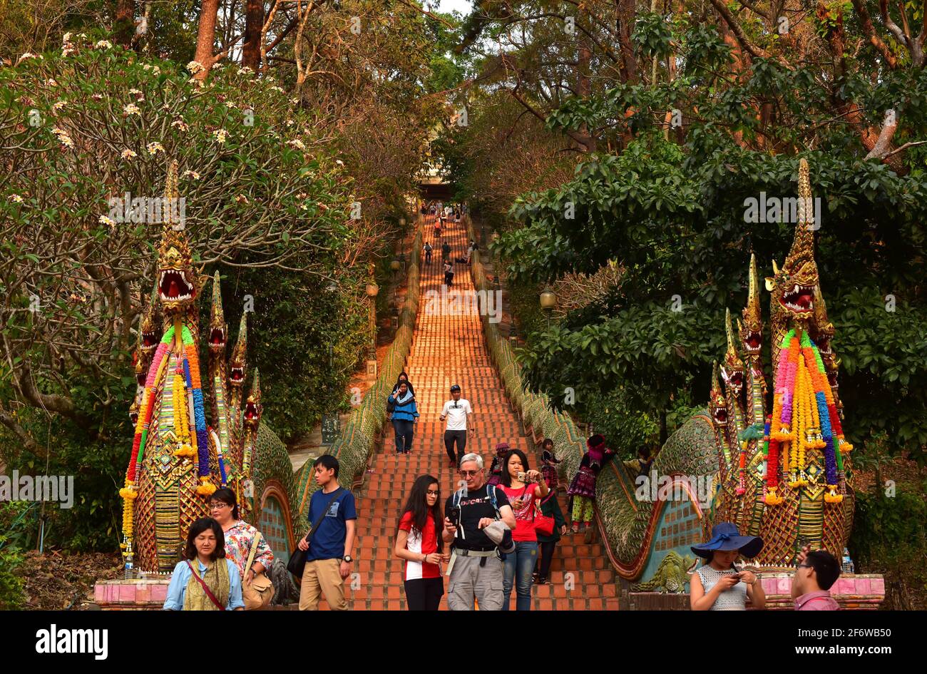 Chiang mai, Wat Phra che Doi Suthep. Scala di accesso. Thailandia. Foto Stock