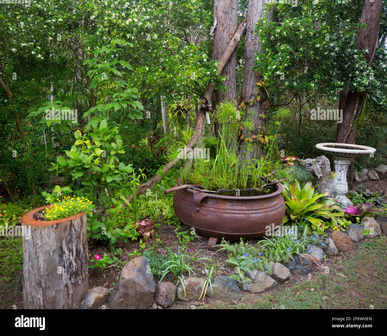 Colorato giardino sub-tropicale con acqua caratteristica insolita / laghetto, bagno di uccelli e arbusti fioriti in Australia Foto Stock