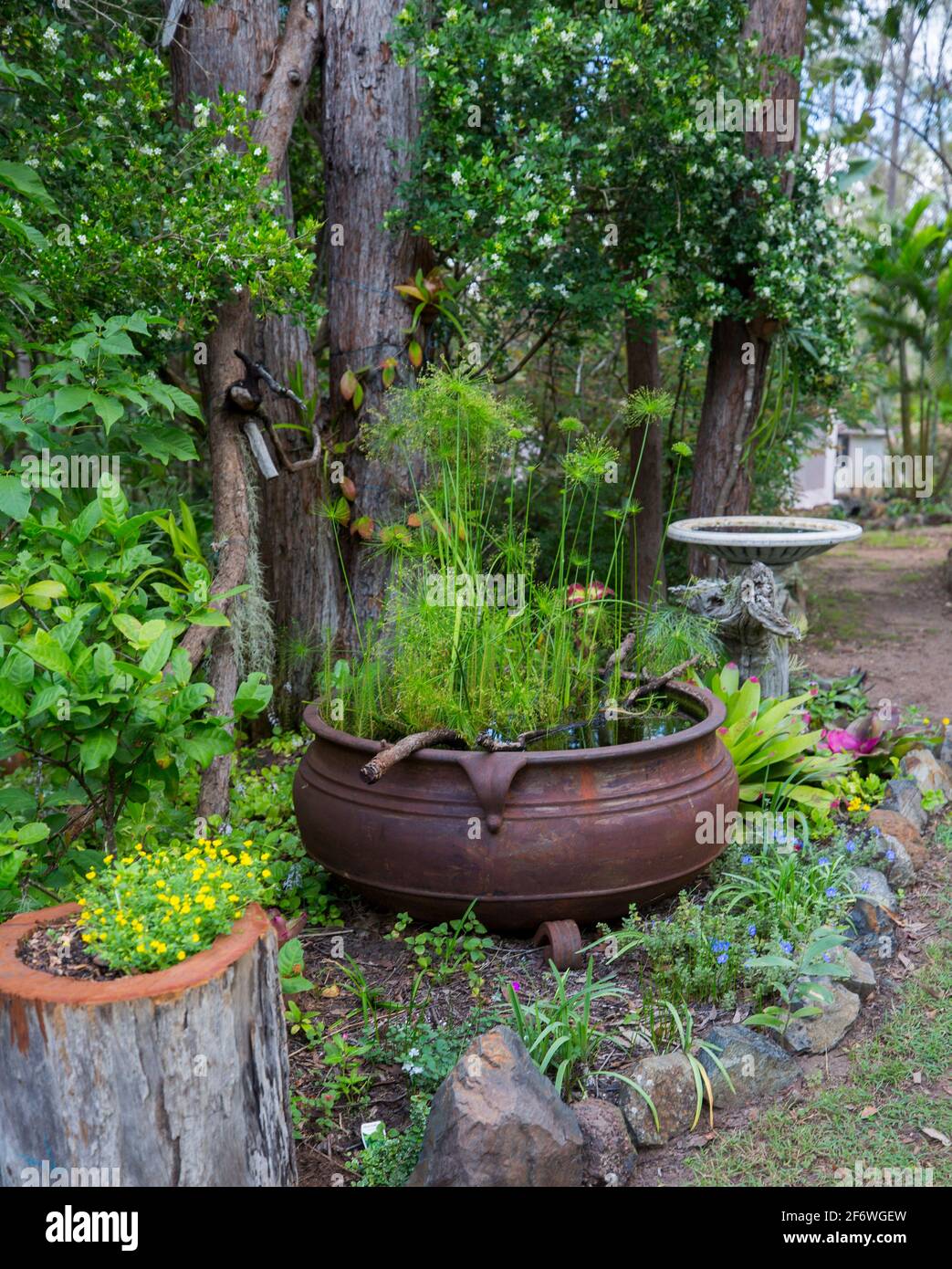 Colorato giardino sub-tropicale con acqua caratteristica insolita / laghetto, bagno di uccelli e arbusti fioriti in Australia Foto Stock