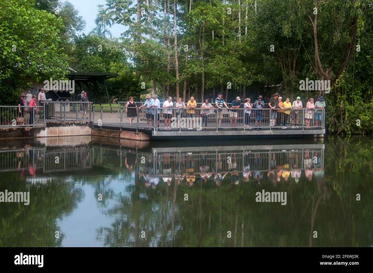 Nutrire i pesci a Howard Springs, fuori Darwin, territorio del Nord Foto Stock