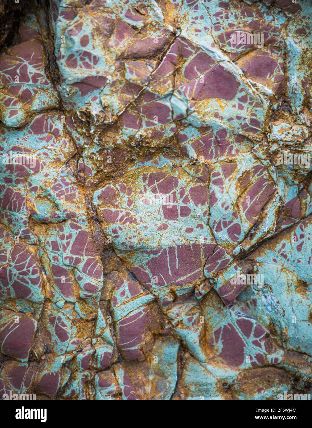 Conglomerate roccia masso su Ruby Beach nel Parco Nazionale Olimpico, Washington Foto Stock