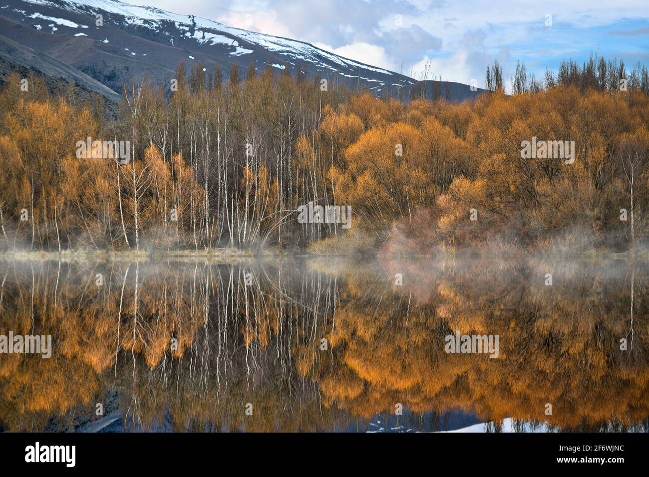 La foresta in autunno diventa giallo dorato riflesso in acqua, mattina foggy è bello, utilizzato come immagine di sfondo. , l'immagine sembra mysteri Foto Stock