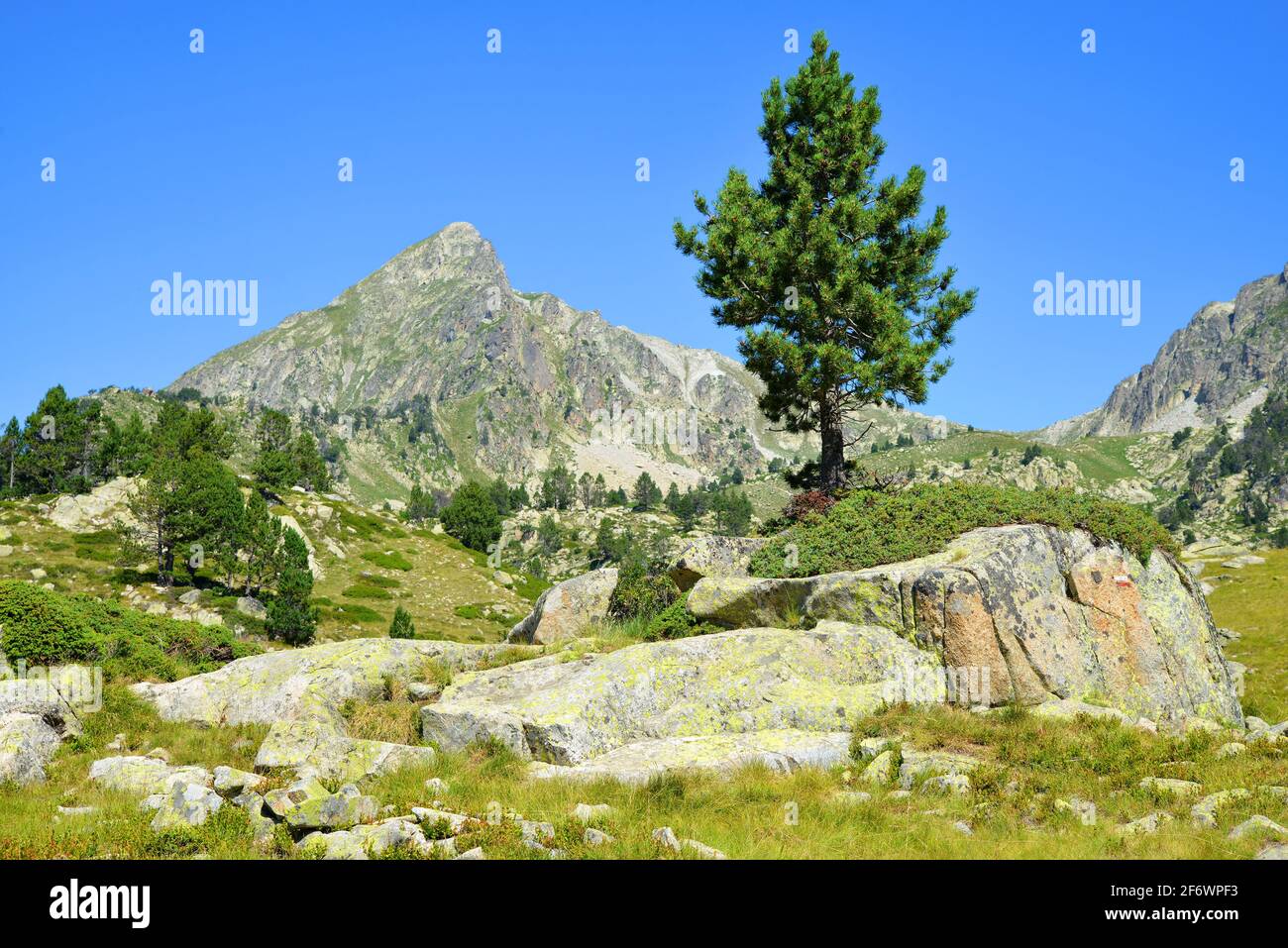 Splendido paesaggio montano nella riserva naturale nazionale di Neouvielle, Pirenei francesi. Foto Stock
