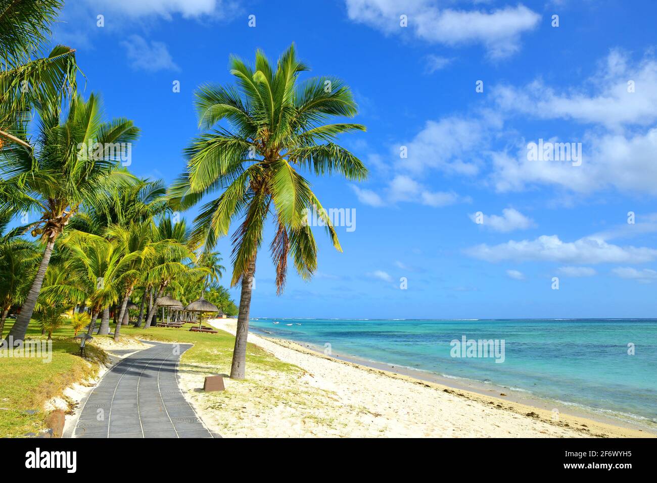 Palme da cocco sulla spiaggia di sabbia tropicale dell'isola di Mauritius. Oceano Indiano. Foto Stock