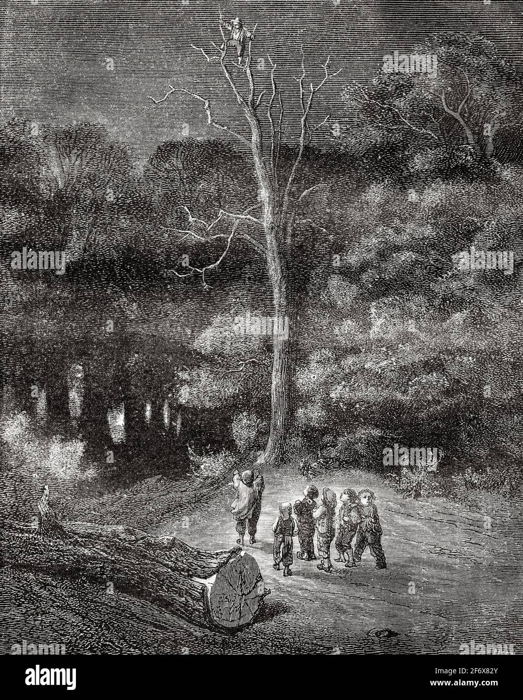 I bambini abbandonati nei boschi di notte. La favola di Tom Thumb di Charles Perrault, illustrata da Gustave Dore. Antica illustrazione del 19 ° secolo inciso da El Mundo Ilustrado 1879 Foto Stock