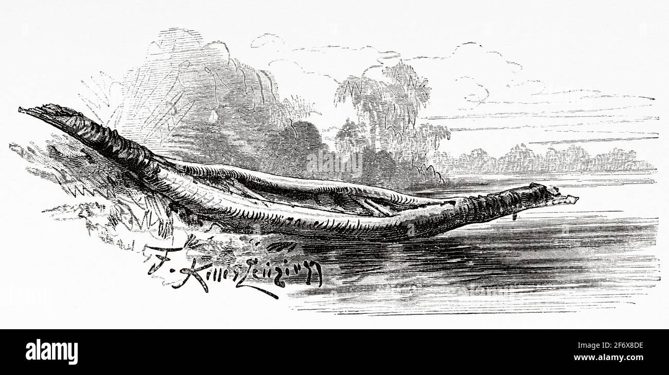 Canoa tradizionale indigena con corteccia di alberi in Australia. Antica illustrazione del 19 ° secolo inciso da El Mundo Ilustrado 1879 Foto Stock