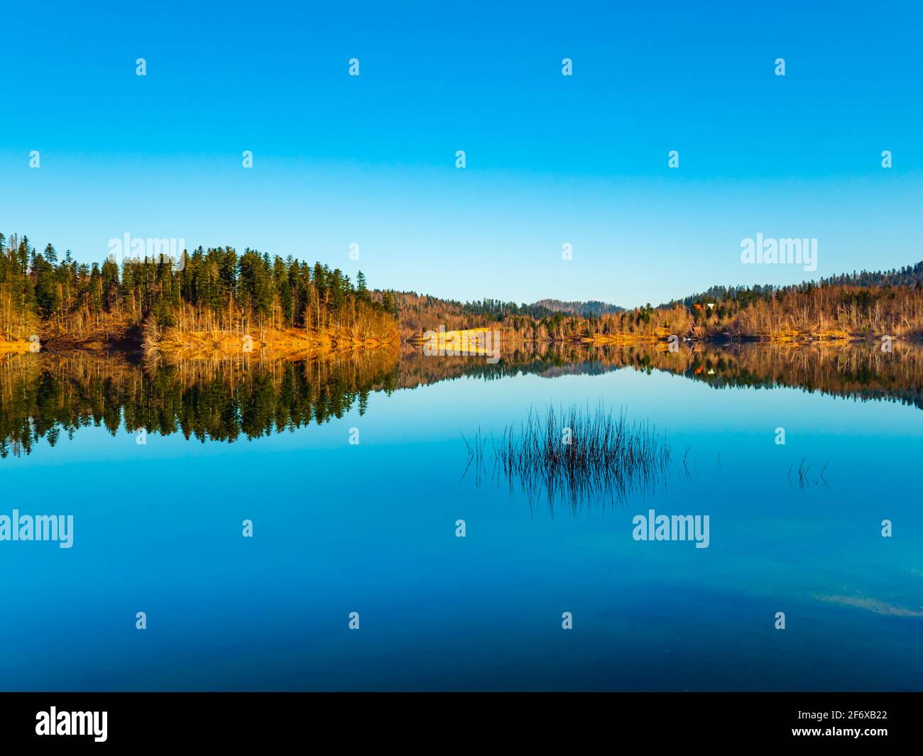 Zen sul lago Lokve in Croazia Europa Foto Stock
